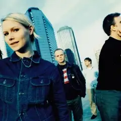The Cardigans