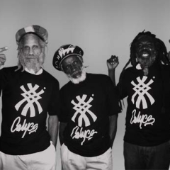 The Congos